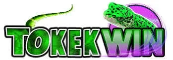 tokekwin